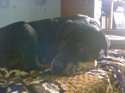 Прикрепленное изображение: 16122007314.jpg